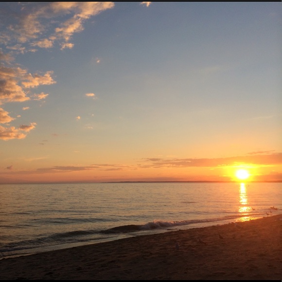 Meet your Posher, Dave - Picture 1 of 1